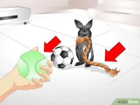 Держи кролика стройным Шаг 6