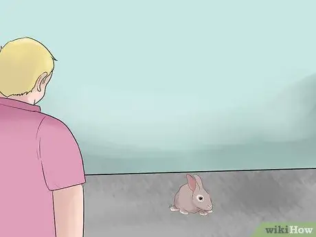 Предотвращение отравления домашних кроликов Шаг 6