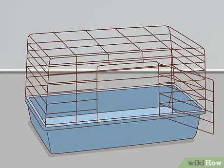 Подружитесь с застенчивым кроликом Шаг 1