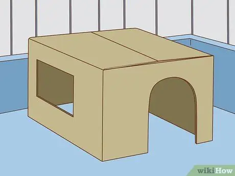 Подружитесь с застенчивым кроликом Шаг 3