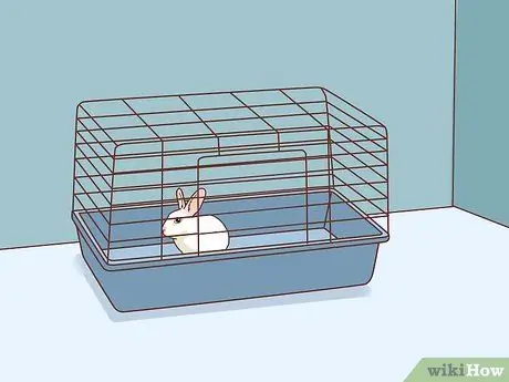 Подружитесь с застенчивым кроликом Шаг 4