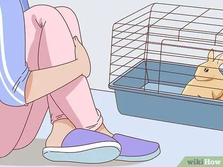 Подружитесь с застенчивым кроликом Шаг 6