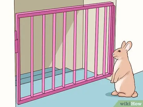 Защитите свой дом от кроликов Шаг 12