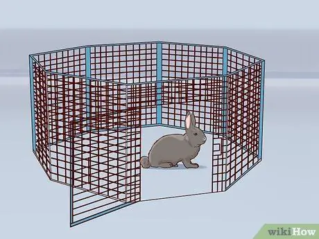 Защитите свой дом от кроликов Шаг 13