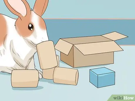 Защитите свой дом от кроликов Шаг 14