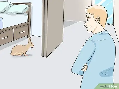 Защитите свой дом от кроликов Шаг 17