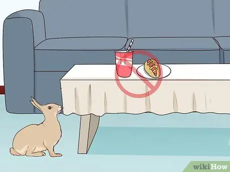 Защитите свой дом от кроликов Шаг 7