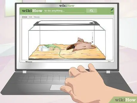 Постройте клетку для игуаны, шаг 1