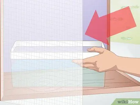 Построить клетку для игуаны Шаг 11