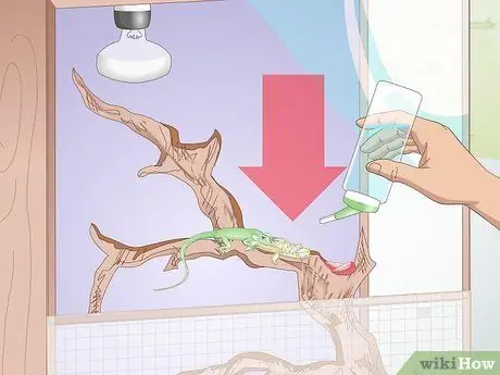 Построить клетку для игуаны Шаг 13