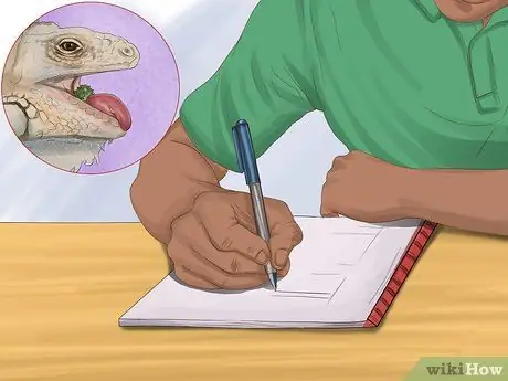 Лечить рептилий от дефицита витамина А Шаг 4