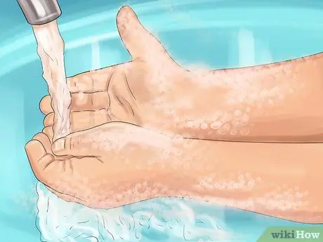 Позаботьтесь о пятилиновом сцинке Шаг 8