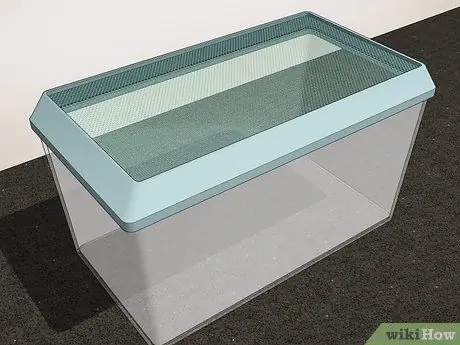 Саранча и сверчки в кишечнике, шаг 2