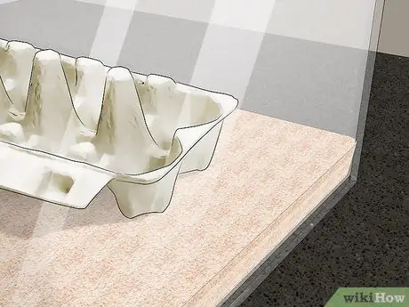 Саранча и сверчки с кишечной нагрузкой Шаг 3