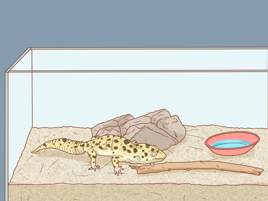 Как правильно и безопасно упаковать, перевезти и переместить рептилию