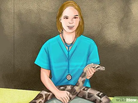 Диагностика дефицита витамина А у рептилий Шаг 10