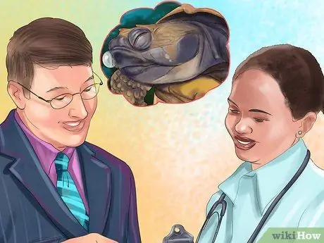 Диагностика дефицита витамина А у рептилий Шаг 11