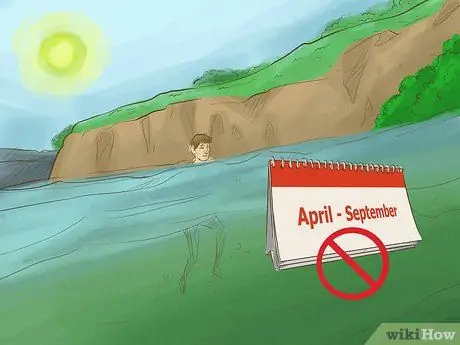 Безопасное плавание с пираньями, шаг 2