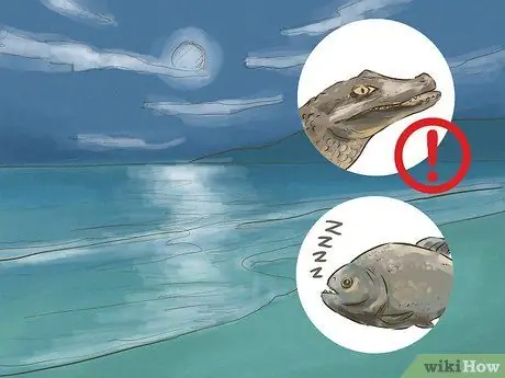 Безопасное плавание с пираньями, шаг 3