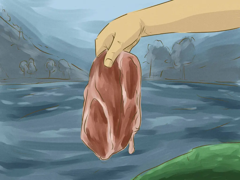 Как безопасно плавать с пираньями: 6 шагов (с иллюстрациями)