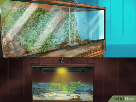 Выберите подходящую рептилию в качестве питомца Шаг 12