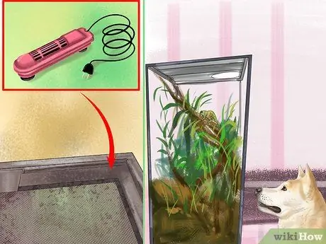 Выберите подходящую рептилию в качестве питомца Шаг 13