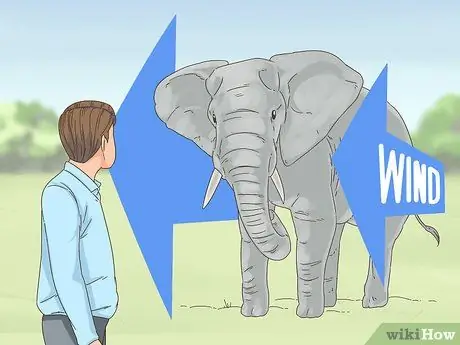 Выжить в заряжающемся слоне Шаг 4