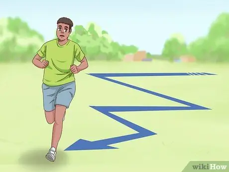 Выжить заряжающегося слона Шаг 5