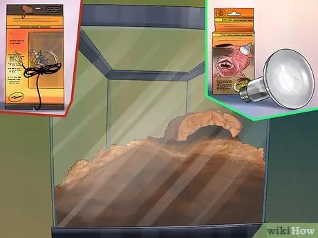 Уход за сцинком Шаг 3