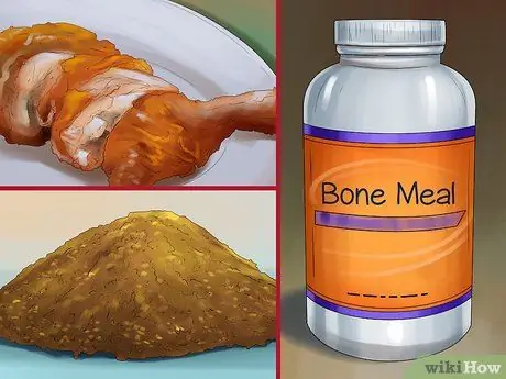 Уход за сцинком Шаг 8