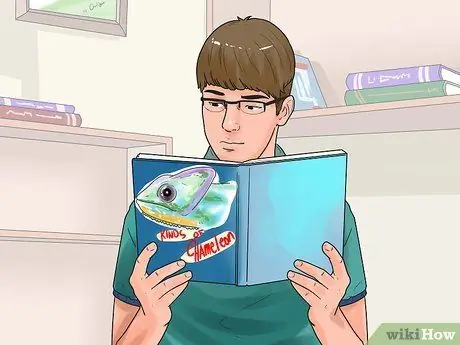 Как определить, является ли хамелеон мужчиной или женщиной Шаг 4