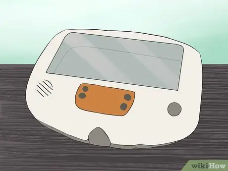 Позаботьтесь о яйцах ящериц, шаг 2