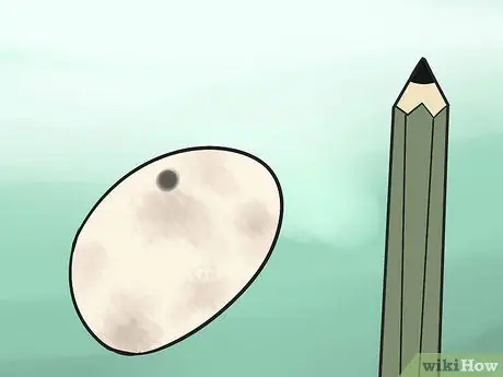 Позаботьтесь о яйцах ящериц Шаг 5