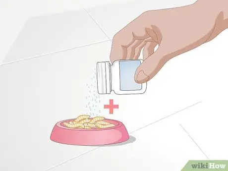 Покормить хамелеона Шаг 4