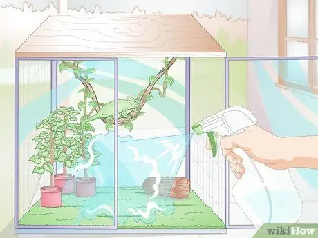 Покормить хамелеона Шаг 8