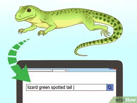 Покормить ящерицу Шаг 1