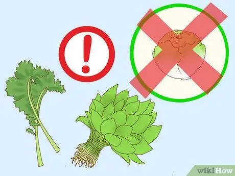 Покормить ящерицу Шаг 13