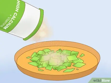 Покормить ящерицу Шаг 16