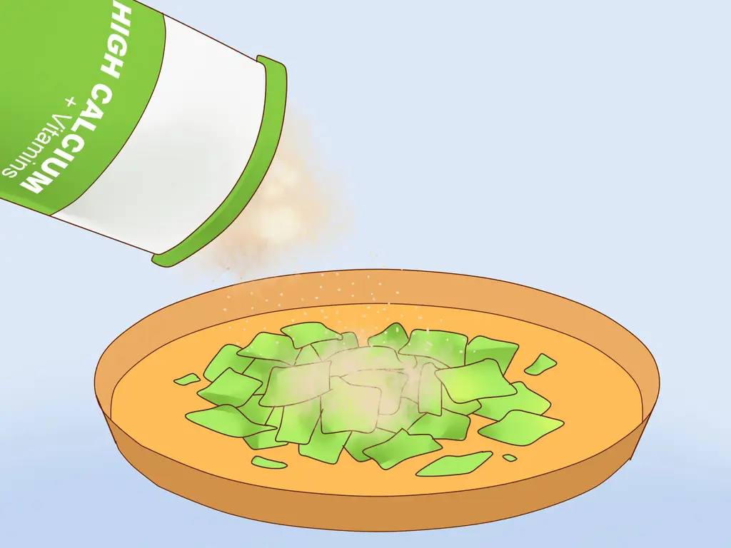 4 способа накормить ящерицу