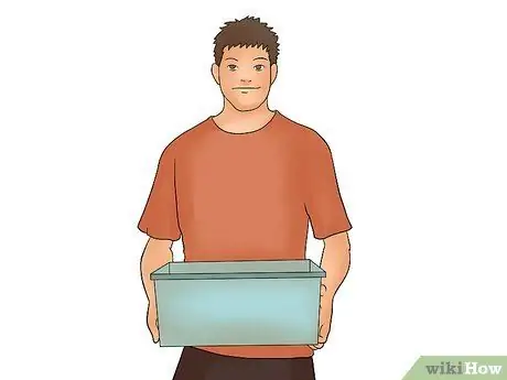 Породы Болл Питонов Шаг 11