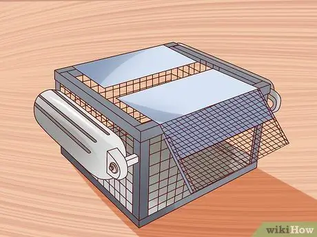 Поймать водяных черепах, шаг 1