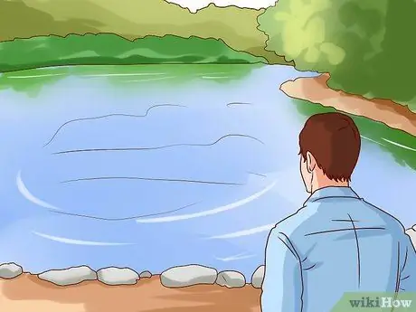 Поймать водяных черепах, шаг 3