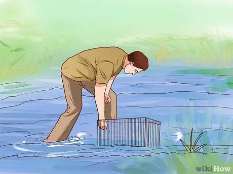 Поймать водяных черепах, шаг 5