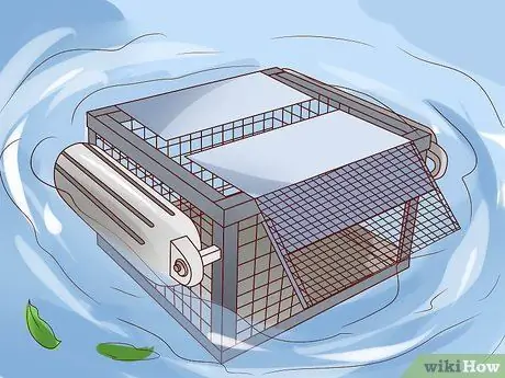 Поймать водяных черепах Шаг 6