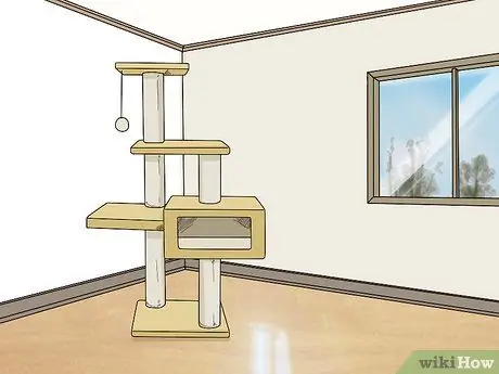 Выпустить шиншиллу из клетки Шаг 5