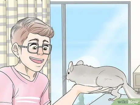 Выпустить шиншиллу из клетки Шаг 6