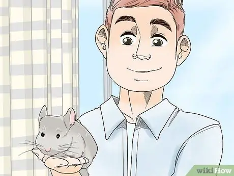 Выпустить шиншиллу из клетки Шаг 7