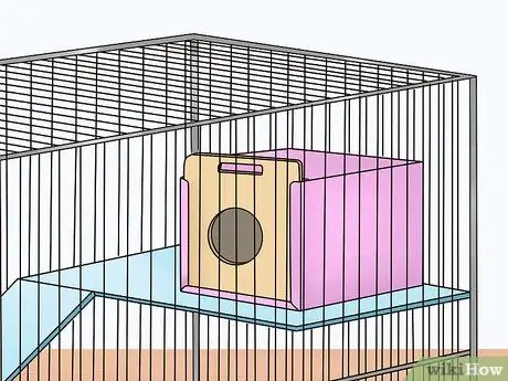 Выберите Скрыть домики для шиншиллы Шаг 7