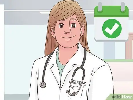 Desex a Pet Rat Step 2