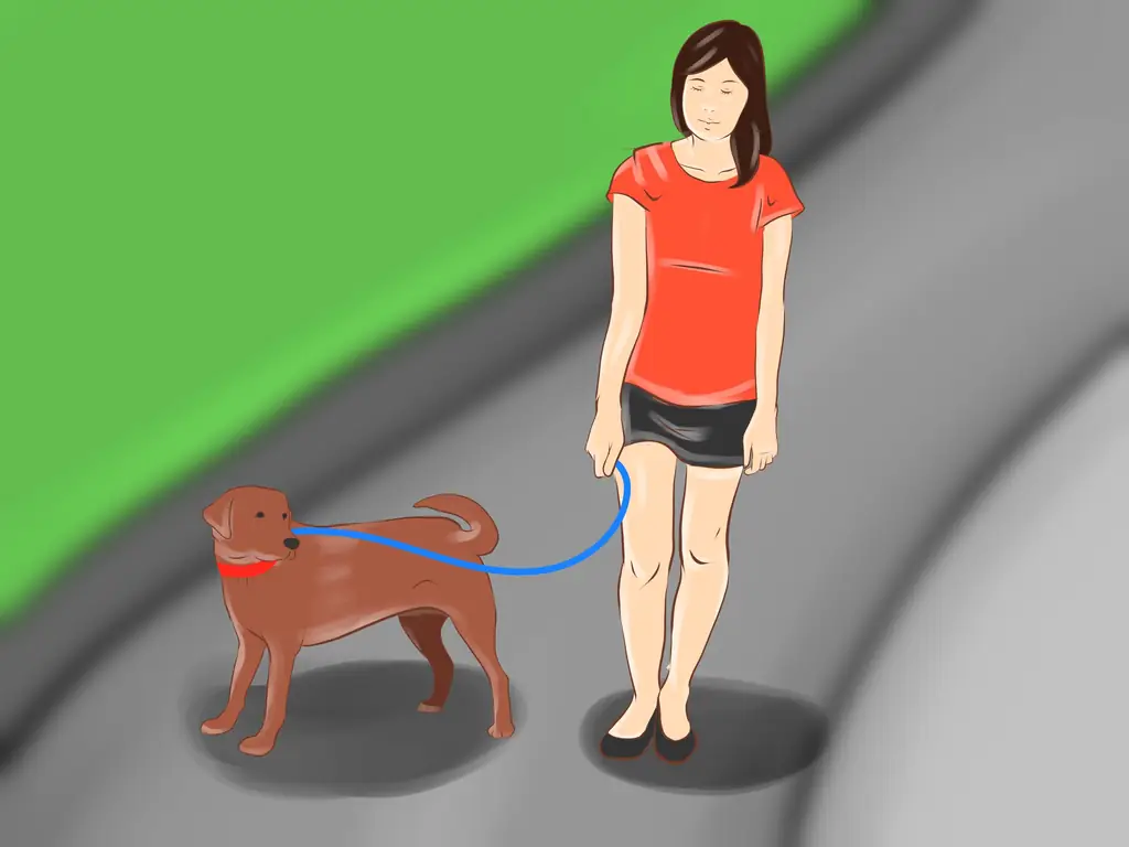 Как соблюдать этикет на тротуаре: 11 шагов (с иллюстрациями)